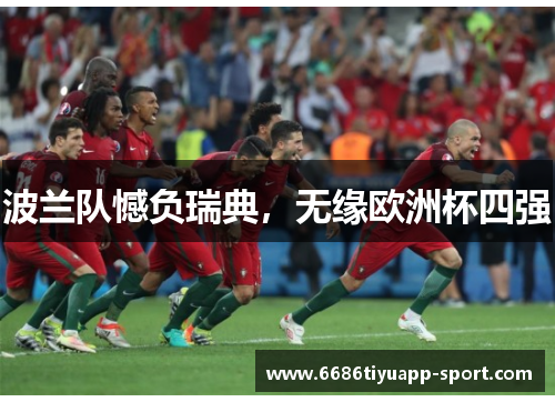 波兰队憾负瑞典，无缘欧洲杯四强